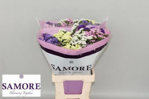 Limonium sinuatum gemengd