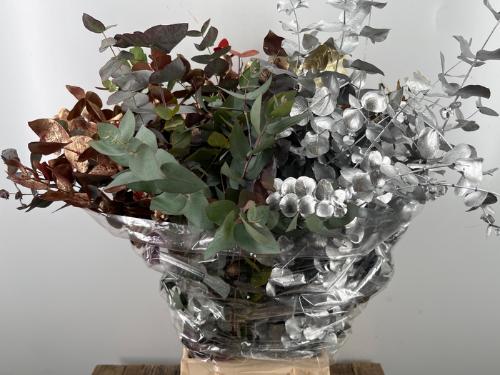 Eucalyptus per bos gemengd