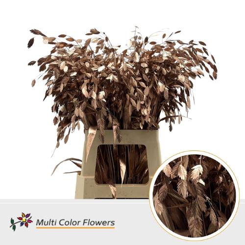 Siergras kleurbehandeld H%