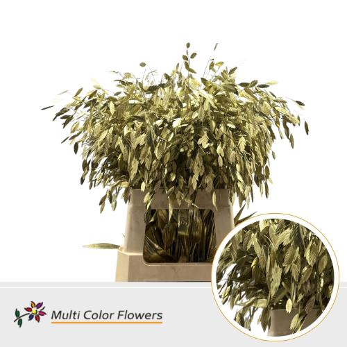 Siergras kleurbehandeld H%