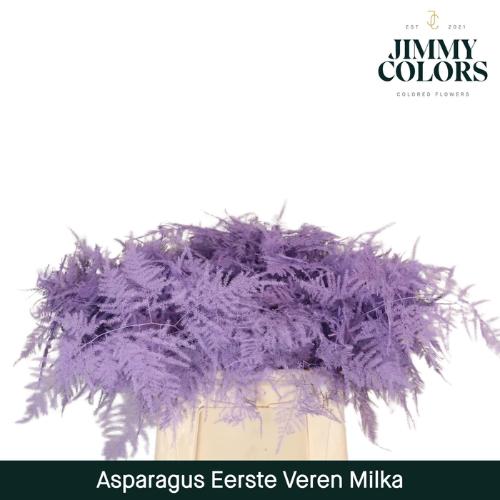 Asparagus overig kleurbehandeld H%