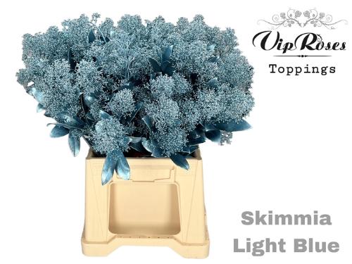 Skimmia per bos overig kleurbehandeld H%