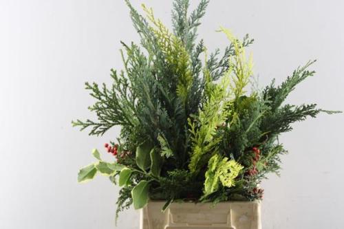 Kerstgroen overig per bos