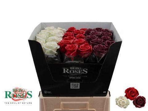 Rosa grootbloemig gewaxt H%