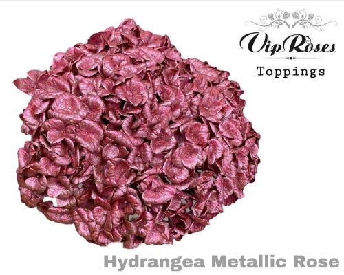 Hydrangea overig kleurbehandeld H%