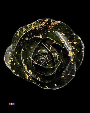 Brassica oleracea kleurbehandeld H%