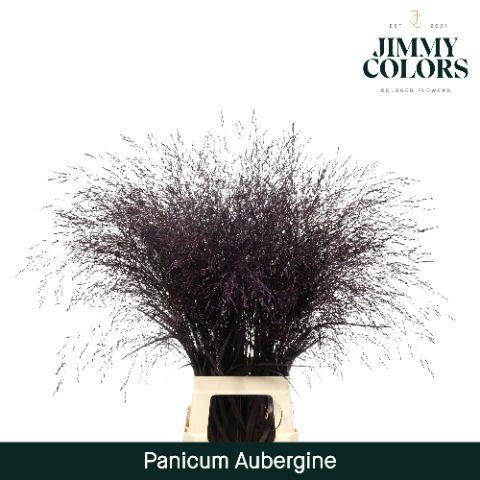 Siergras kleurbehandeld H%