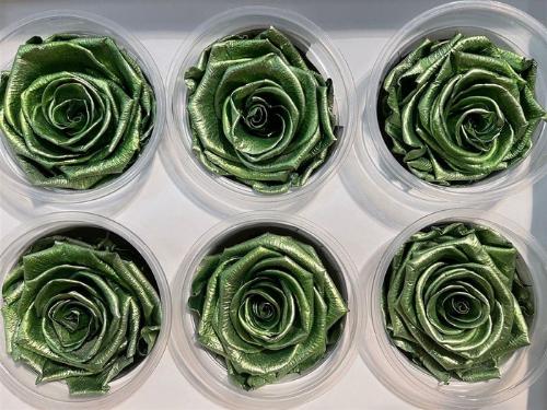 Rosa grootbloemig kleurbehandeld H%