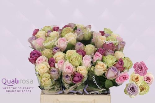 Rosa grootbloemig gemengd in bos