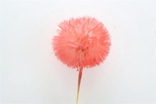 Decoratiegroen kleurbehandeld per bos H%