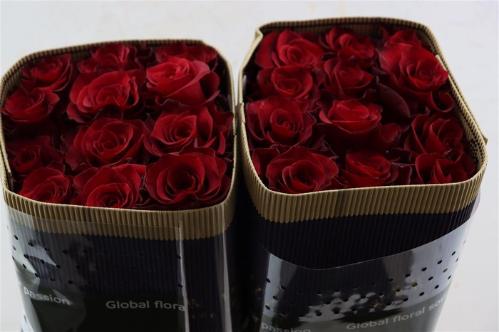 Rosa grootbloemig overig