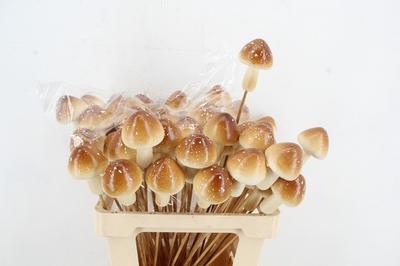 Huis en tuindecoratie overig H%