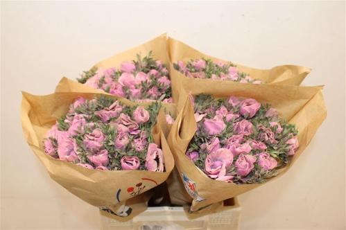 Snijbloemen overig kleurbehandeld H%