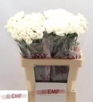 42fb7c11-bb36-4ab5-85b3-8374d7a7ded6.jpg