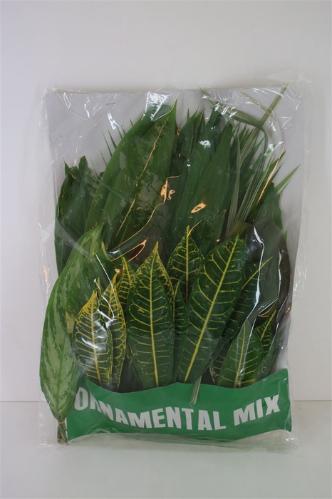 Decoratiegroen overig per bos