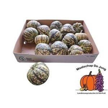 Siervruchten per stuk Cucurbita pepo 'Sweet Dumpling'
