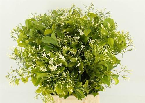 Snijbloemen overig