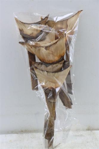 Huis en tuindecoratie overig H%