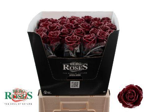 Rosa grootbloemig gewaxt H%