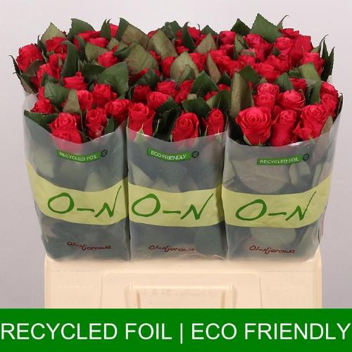 Rosa grootbloemig Tacazzi+