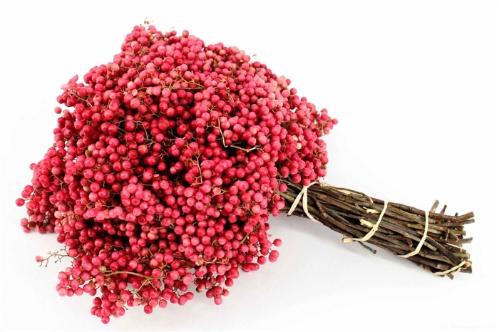 Schinus molle (decor met bes) per bos