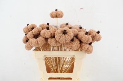 Huis en tuindecoratie overig H%