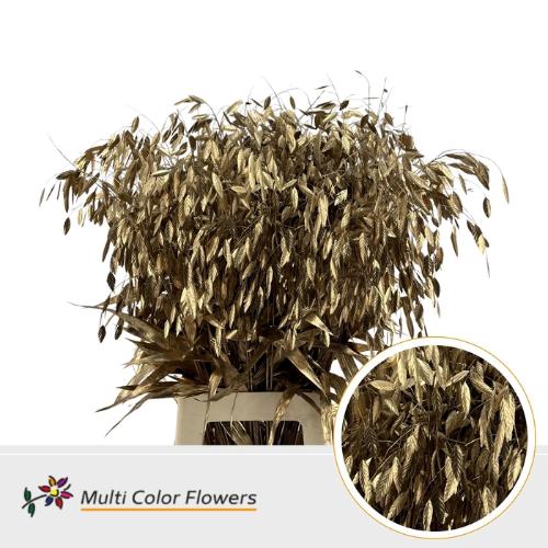 Siergras kleurbehandeld H%