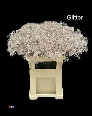 Gypsophila overig kleurbehandeld H%