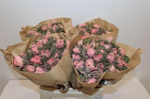 Snijbloemen overig kleurbehandeld H%