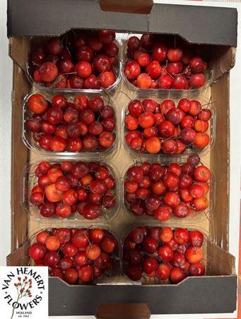 Siervruchten per bak Malus overig