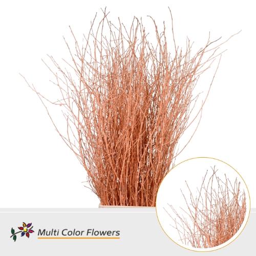 Betula kleurbehandeld H%