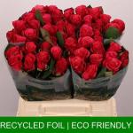 4787af68-4da6-48ff-8eba-3edc9a266339.jpg