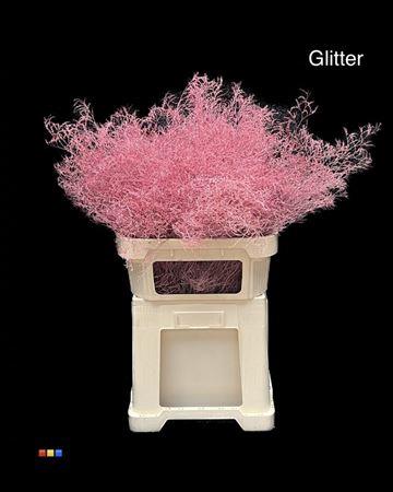 Limonium overig kleurbehandeld H%