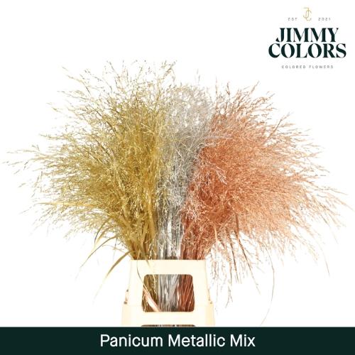 Siergras kleurbehandeld H%