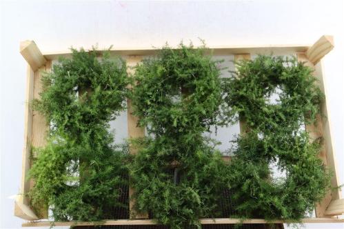 Siervruchten per stuk Sierfruit krans H%