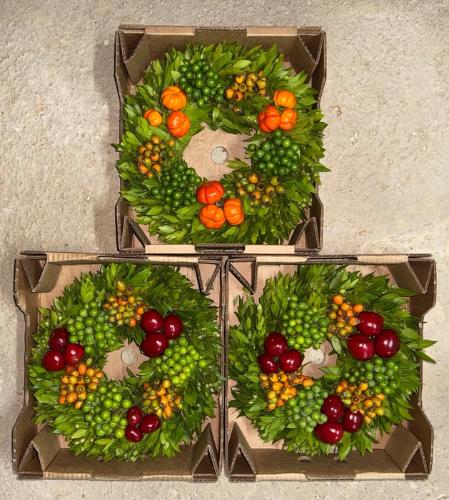 Siervruchten per stuk Sierfruit krans H%