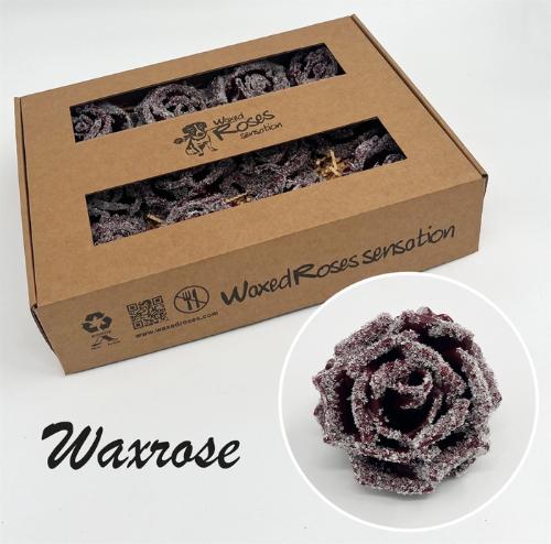 Rosa grootbloemig gewaxt H%
