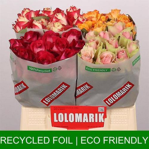 Rosa grootbloemig gemengd in fust