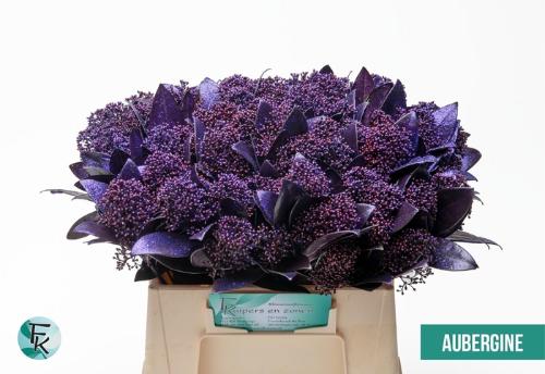 Skimmia per bos overig kleurbehandeld H%