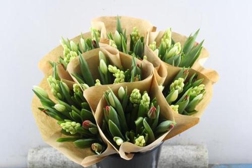 Hyacinthus orientalis overig