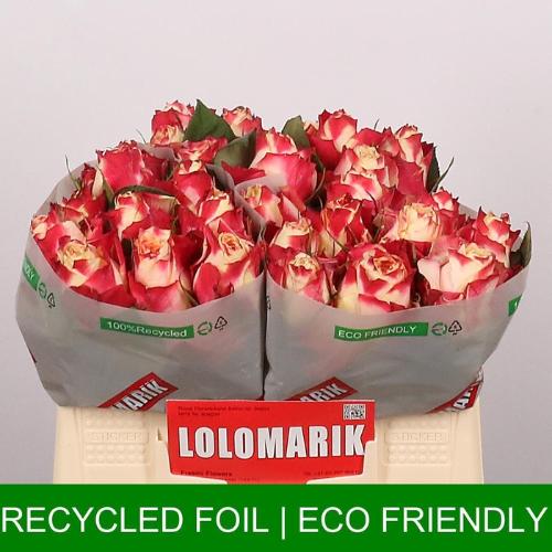 Rosa grootbloemig Chapeau