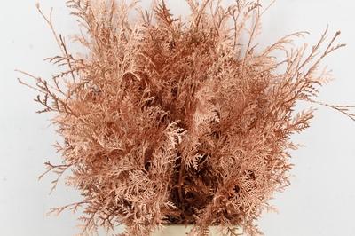 Decoratiegroen kleurbehandeld H%