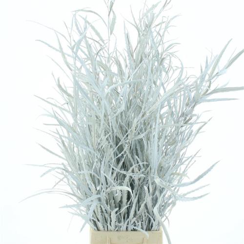 Decoratiegroen kleurbehandeld per bos H%