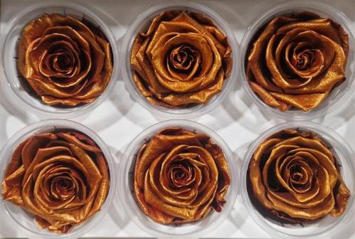 Rosa grootbloemig kleurbehandeld H%