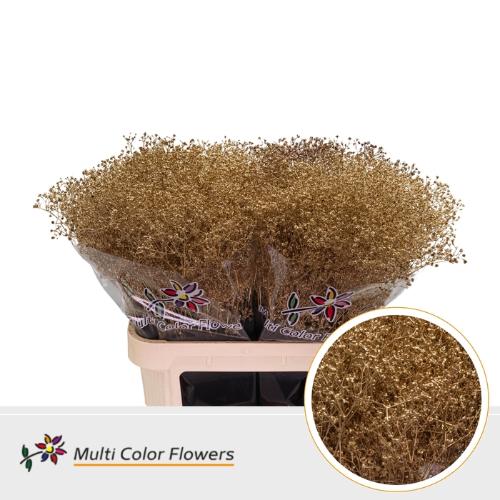 Gypsophila overig kleurbehandeld H%