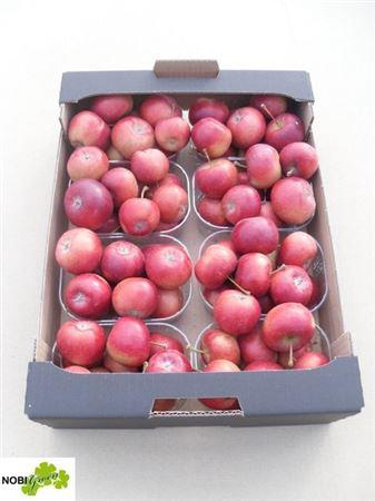 Siervruchten per bak Malus overig