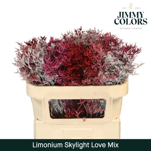 Limonium overig kleurbehandeld H%
