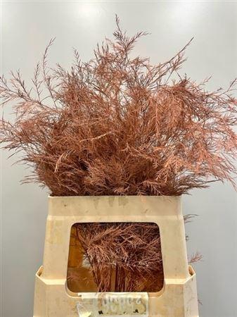Decoratiegroen kleurbehandeld per bos H%