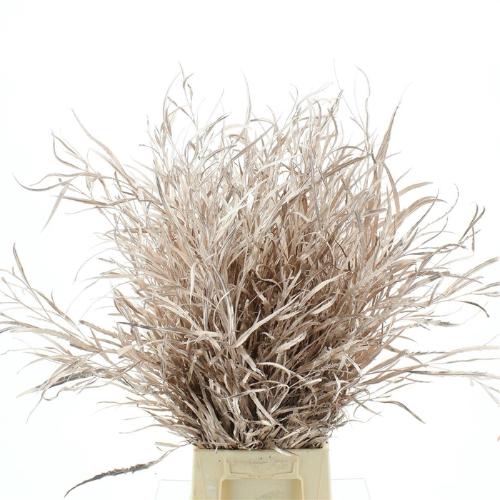 Decoratiegroen kleurbehandeld per bos H%