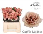 4bd675e6-d180-49e5-9ff1-6cdb569cd483.jpg
